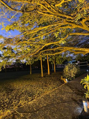 Casamento Fernanda e Artur (1)